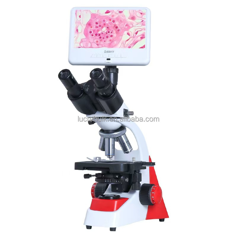 Professional Grade Binocular M - Medical Laboratories review and price